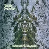 Dead Meadow - Voyager To Voyager (Limited Edition) (Mint Green Coloured) (LP)