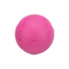Trixie Igrača Žoga naravna guma piska 6 cm