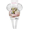 elho aqua care - Transparentna