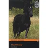 Level 2: Black Beauty Book and MP3 Pack