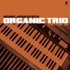 Henri Jerratsch Organic Trio - Cuttin In (LP)
