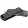 USB flash pogon SanDisk iXpand Go 256GB