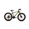 MTB CAPRIOLO Mammut 24