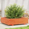 Vrtna sadilica voštano smeđe boje 90x90x26,5 cm od borovine