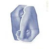 Flora Sophi - If/When (LP)