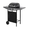 Teesa Plinski žar BBQ 2000 z 2 gorilnikoma 5 kW TSA0080