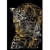 Royal & Langnickel Zlata praskalna slika Leopard