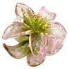 Štipac za kosu Flower - Zelena KP39305