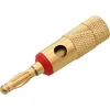 banana GOLD twisted BIG RED