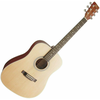 SX SD204 Natural