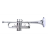 Trobenta C2 Schilke