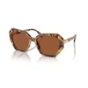 Swarovski Naočare za sunce SK 6017 100473