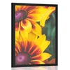 Plakat atrakvitne dvobarvne rože - 20x30 silver