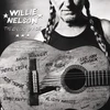 Willie Nelson - The Great Divide (180 g) (LP)