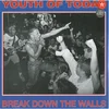 Youth Of Today - Break Down The Walls (Limited Edition) (LP)