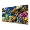 tulup.si Slika na akrilnem steklu Barrier reef narava 120x60 cm 2 obešalnika