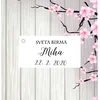 Kartončki za darila BIRMA KARTBIR 04
