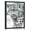 Plakat narisani leopard - 30x45 silver