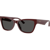Jimmy Choo Naočare za sunce JC 5024HU 505787