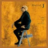 David J - Tracks From The Attic Revisited (Opaque Gold Coloured) (LP)
