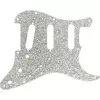 Fender Hybrid Glass/Glitter Stratocaster S/S/S Silver Sparkle Pickguard