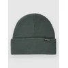 Carhartt WIP Gordan Beanie dark fir