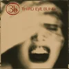 Third Eye Blind - Third Eye Blind (Limited Edition) (Reissue) (Grape Coloured) (2 LP)