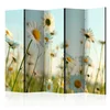 artgeist Paravan Daisies I, 5-Delni, Dvostranski