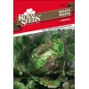 SEME ROYAL SEEDS 94 Solata Canasta
