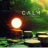 Various Artists - Calm Classical (180g) (2 LP)