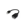 Lenovo LENOVO MINI DP (M) TO FULL SIZE (F) CABLE (4X90L13971)