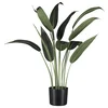 Veštačka Biljka Wassercanna Ii