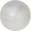 Energetics GYMNASTIC BALL, gimnastička lopta, srebrna 145063