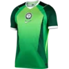 Nike Dres Dri-FIT Nigeria Stadium Home 2026