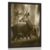 Plakat jelen v borovem gozdu v sepia varianti - 40x60 black