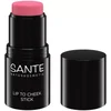 Sante stik za usne i obraze 01 Rose Blush