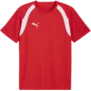 Puma Dres teamFINAL26