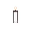 Flos Architectural FLOS In Vitro Unplugged LED luč rjave barve 3000K - Dizajn - temno rjava - Kovina