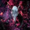 Colin Stetson - The Love It Took To Leave You (2 LP)