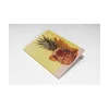 MAPA Z ELASTIKO A4 1CM ANANAS
