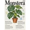 Plakat 30x40 cm Monstera botanični vintage za dnevno sobo
