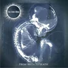 Sun Dont Shine - From Birth To Death (LP)