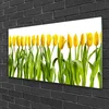 tulup.si Slika na steklu Tulipani rože narava 120x60 cm 4 obešalnika