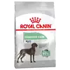 Royal Canin CCN Digestive Care Maxi - Varčno pakiranje: 2x12 kg