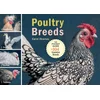 Poultry Breeds
