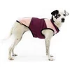 Obleka za pulover Frankie the rogue burgundska 55cm
