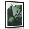 Plakat s paspartujem list monstere - 60x90 no frame