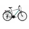CAPRIOLO Roadster man sivo-tirkiz 921601-20