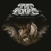 Spirit Adrift - Ghost At The Gallows (Limited Edition) (180 g) (LP)