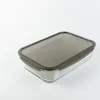 Lock n Lock Staklena posuda za hranu Ovenglass Euro Gray 3.6l, Siva
